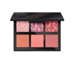 YOUSTAR CHERRY CHEEKS BLUSH PALETTE 14G