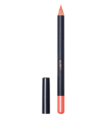 ADEN LIPLINER PENCIL PAPAYA NO45 1.14G