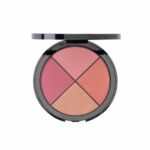 ADEN Blusher Palette 22gr