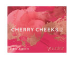 YOUSTAR CHERRY CHEEKS 2 BLUSH PALETTE 14GR - Image 4